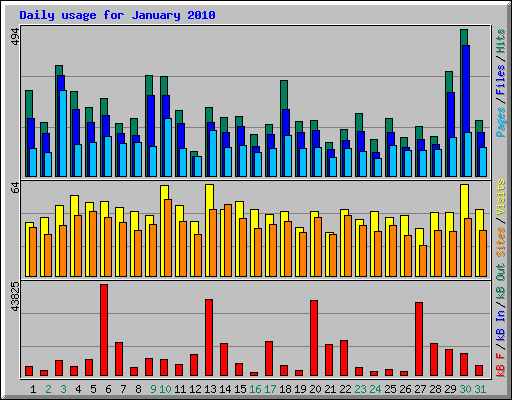 Daily usage for January 2010