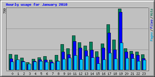 Hourly usage for January 2010